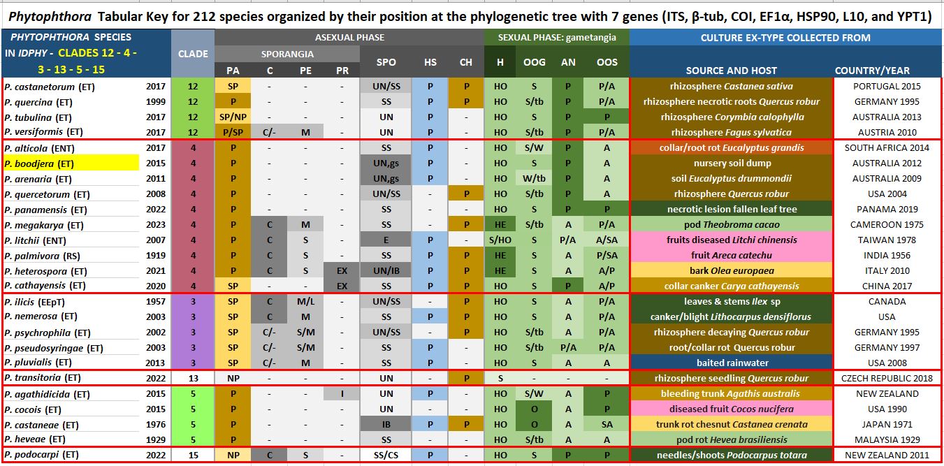    Phytophthora  spp. in Clade 4 : Morphological Tabular key (PDF) and Tabular key legends (PDF) in IDphy2 KEY SECTION. Notice the data of   P. boodjera  Ex-type CBS 138637 = Samp;T BL 181 . Gloria Abad, USDA Samp;T. nbsp;
